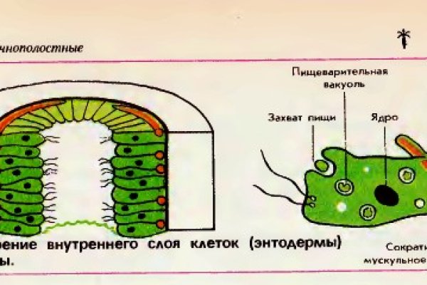 Как регистрироваться и заходить на кракен даркнет