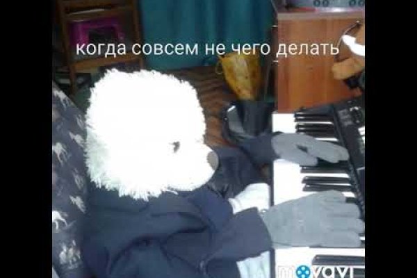 Кракен маркет только через тор скачать