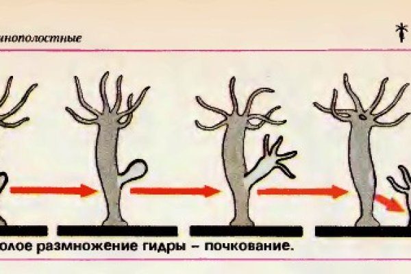 Кракен найдется все что это