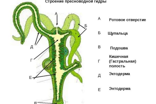 Как зайти на кракен в торе